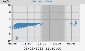 Wind Vector