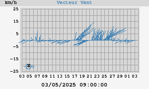 Wind Vector