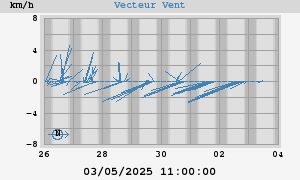 Wind Vector