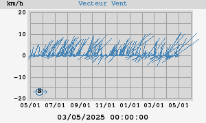 Wind Vector